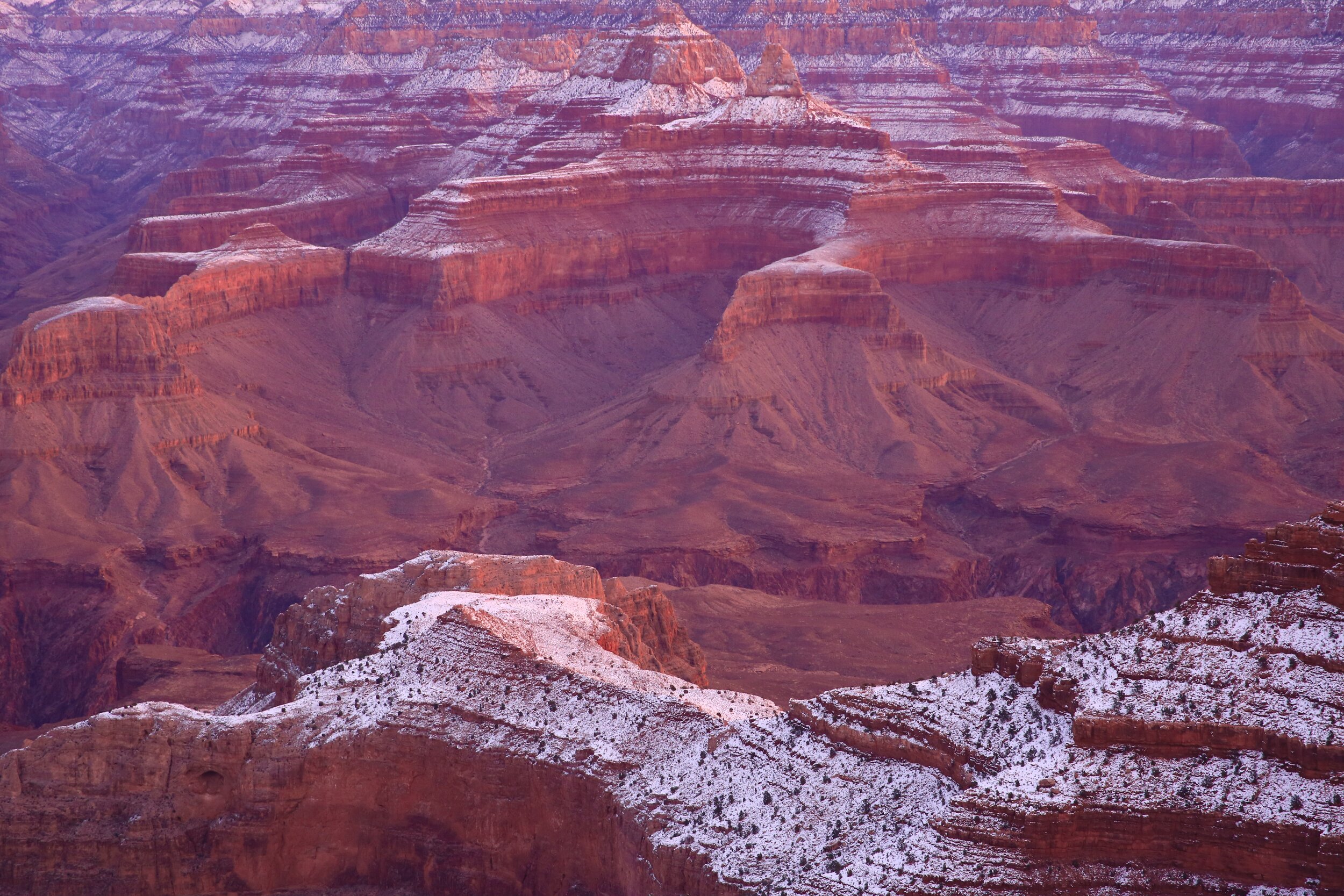 2019 / Grand Canyon