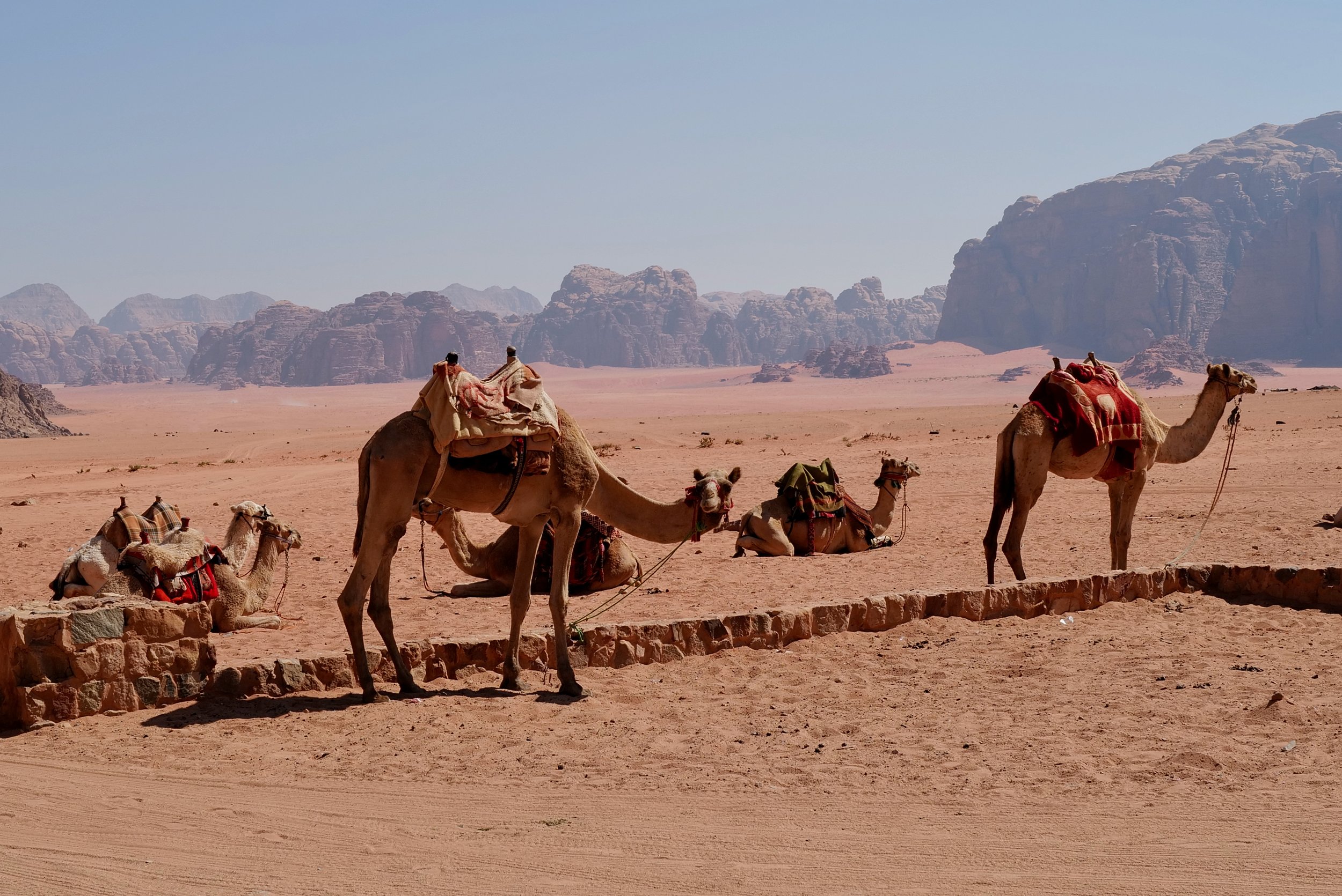 2022 / Wadi Rum
