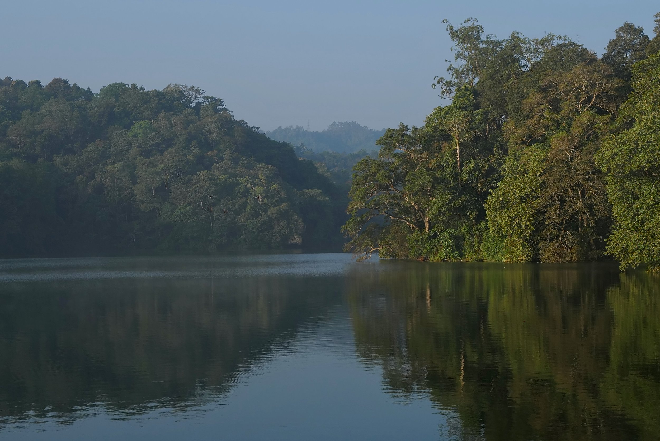 2023 / Munnar