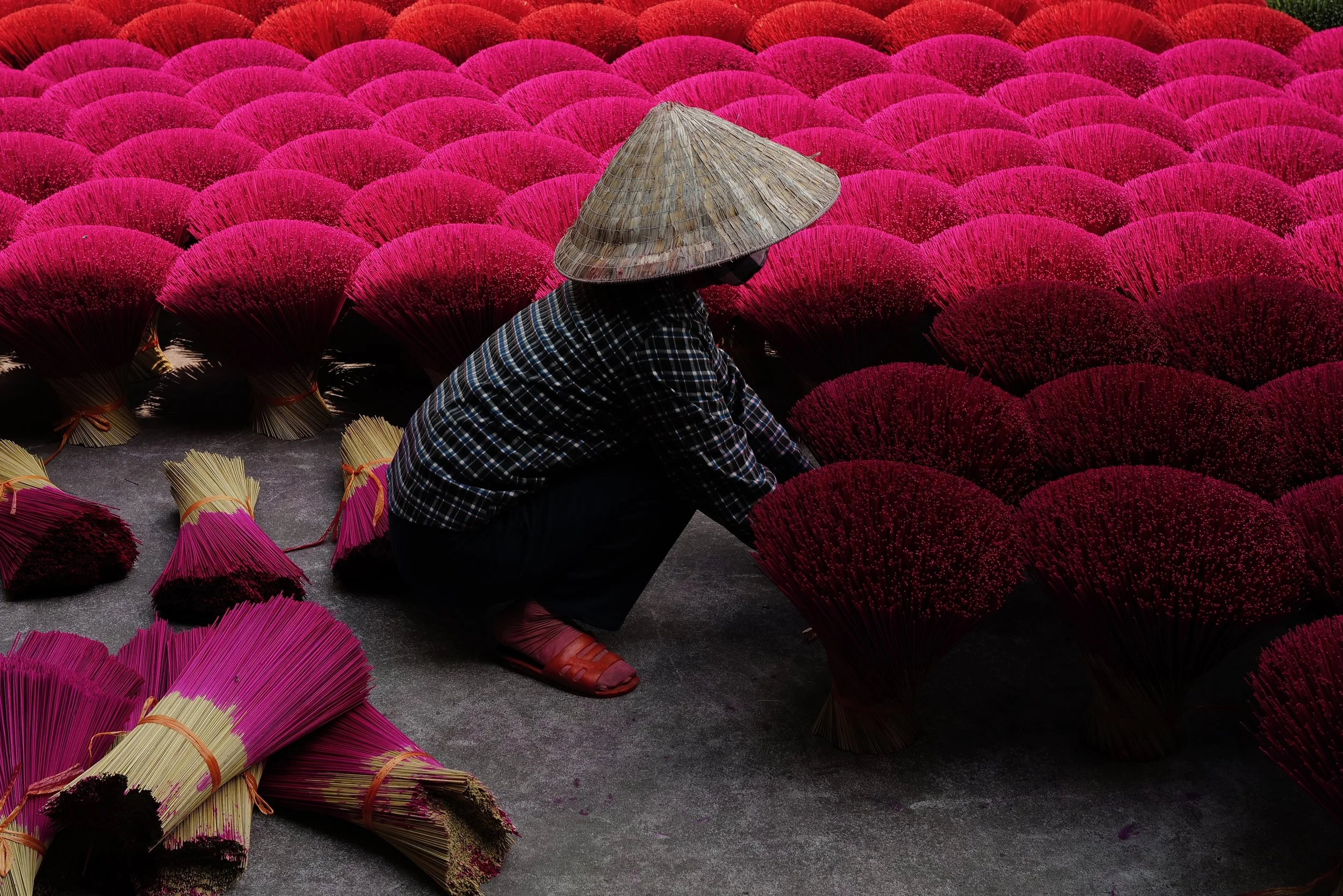 2025 / Quang Phu Cau