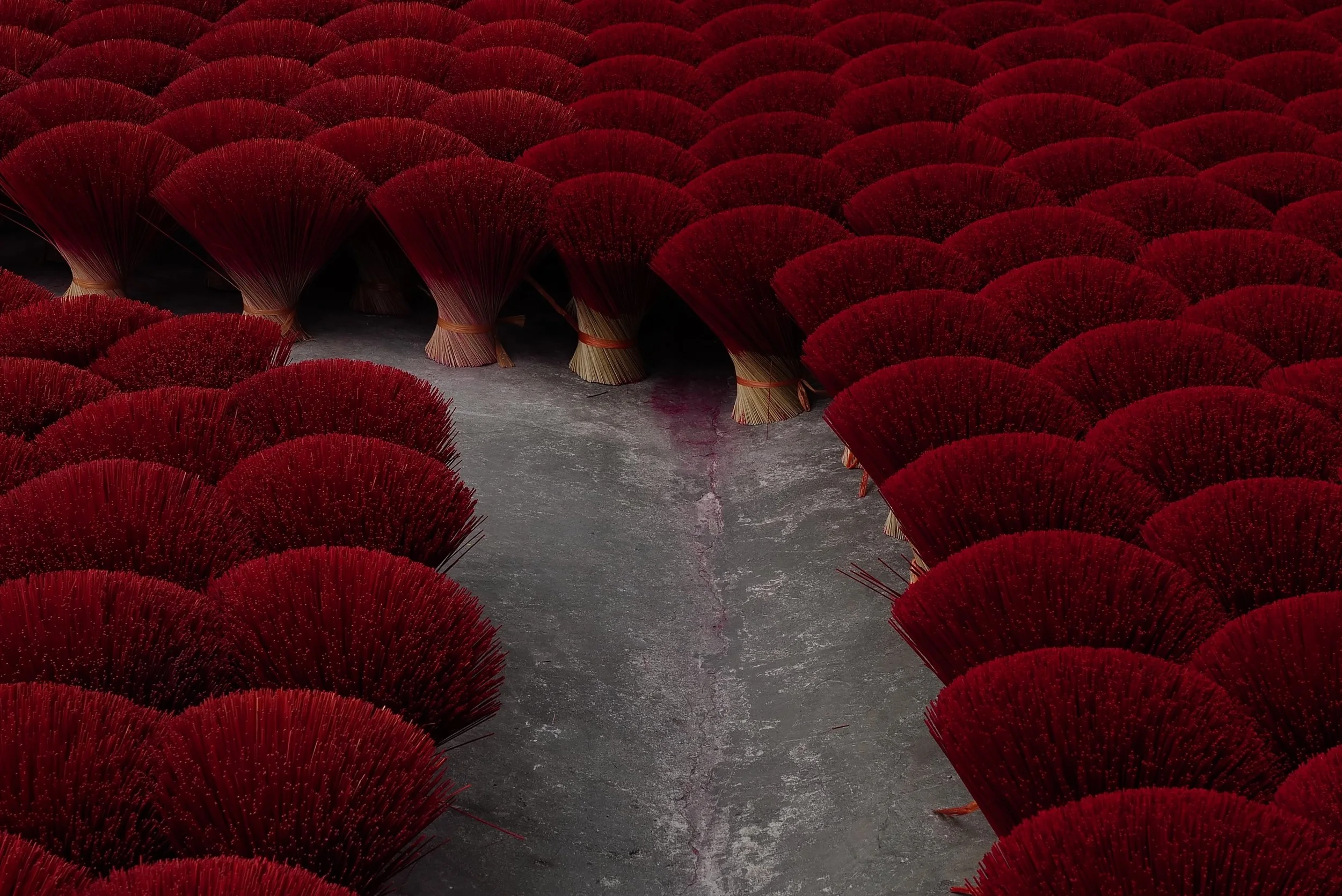 2025 / Quang Phu Cau