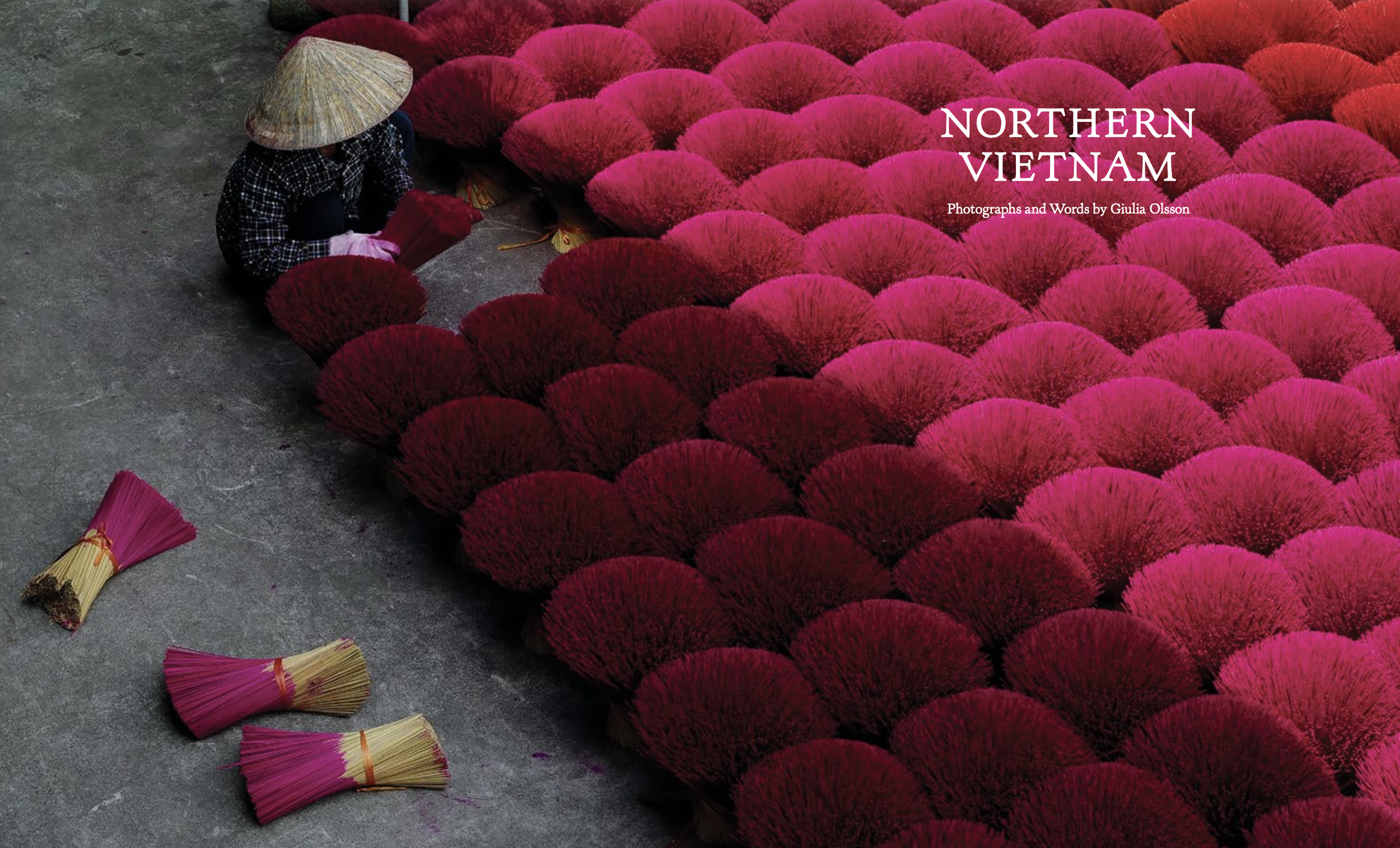 YOLO Journal, Spring '26 Issue