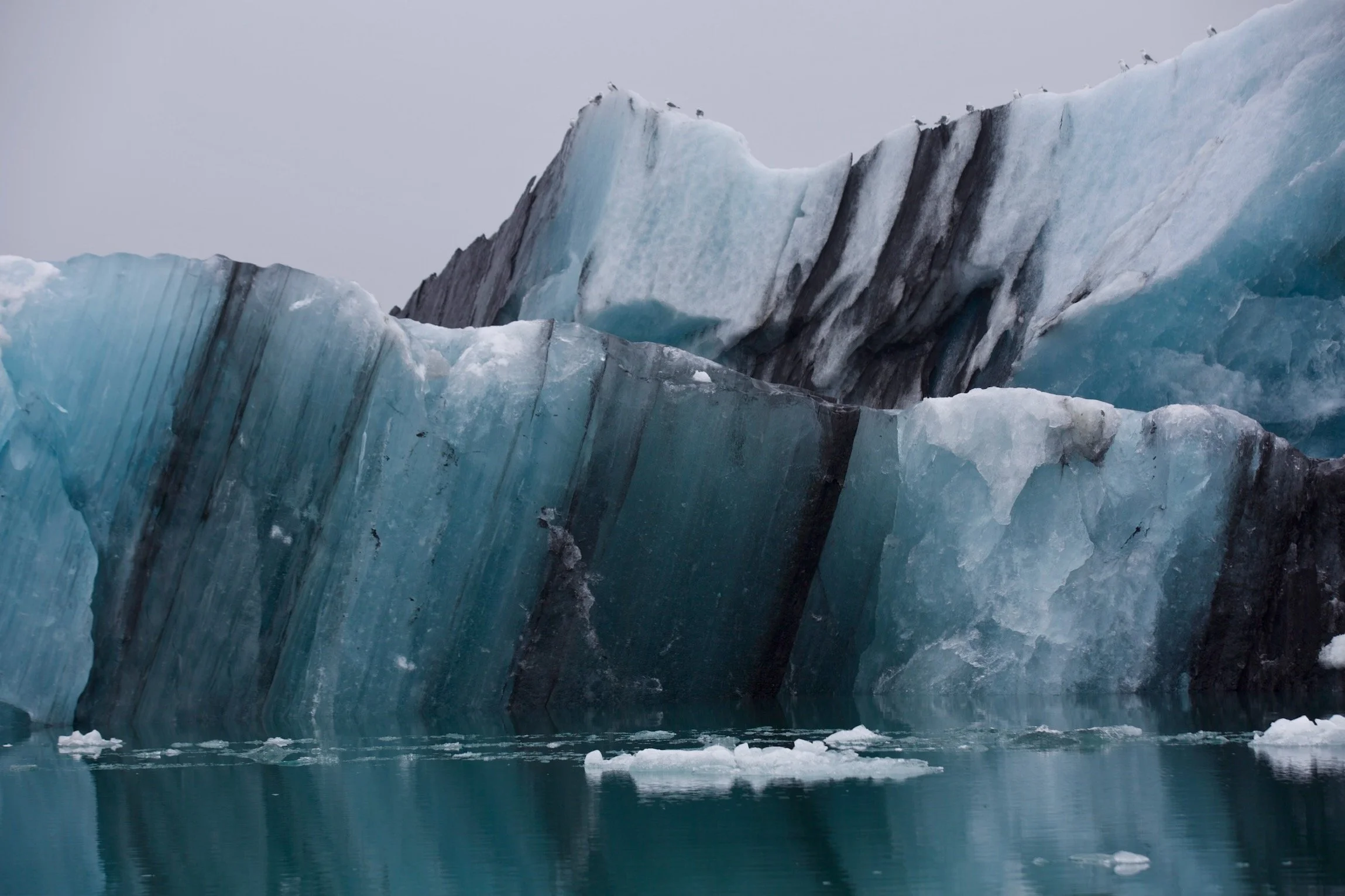 2026 / Jökulsárlón Glacier Lagoon