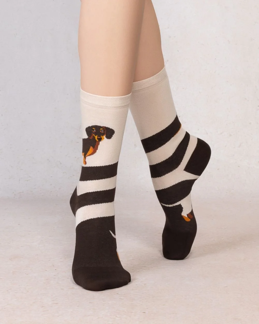 chaussettes-teckel.jpg