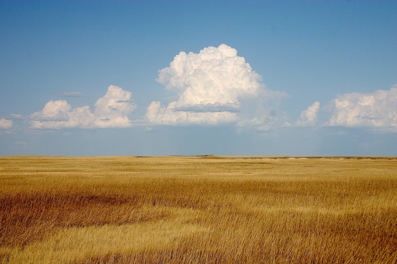 1599px-Cumulus_Clouds_over_Yellow_Prairie2.jpg