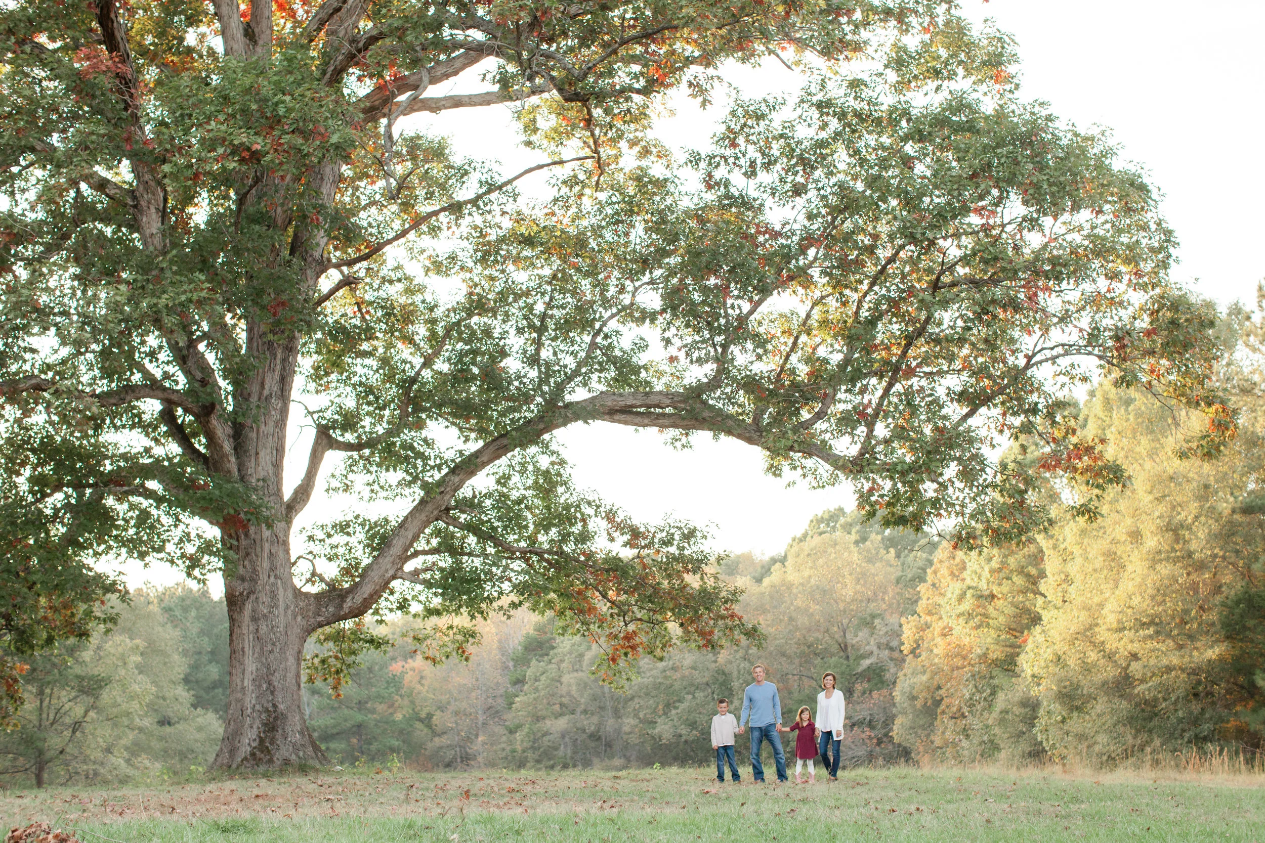 The Williams Family_Fall Mini 2016-12.jpg