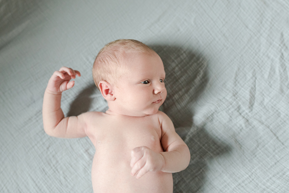 Charlotte Newborn Photographer - Jacob DiCharry