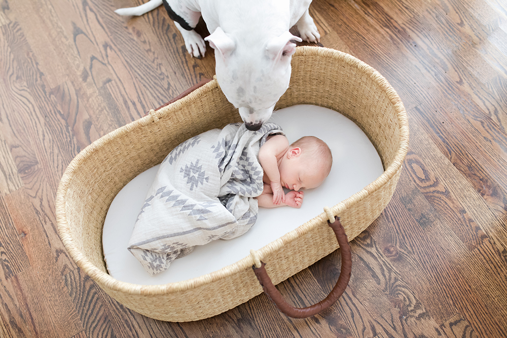 Charlotte Newborn Photographer - Ricky Capek