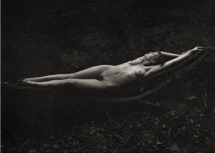 Kathryn #5 - Nature's Hammock , 1996 Platinum/Palladium photograph. 11 1/16 x 14 7/8 inches