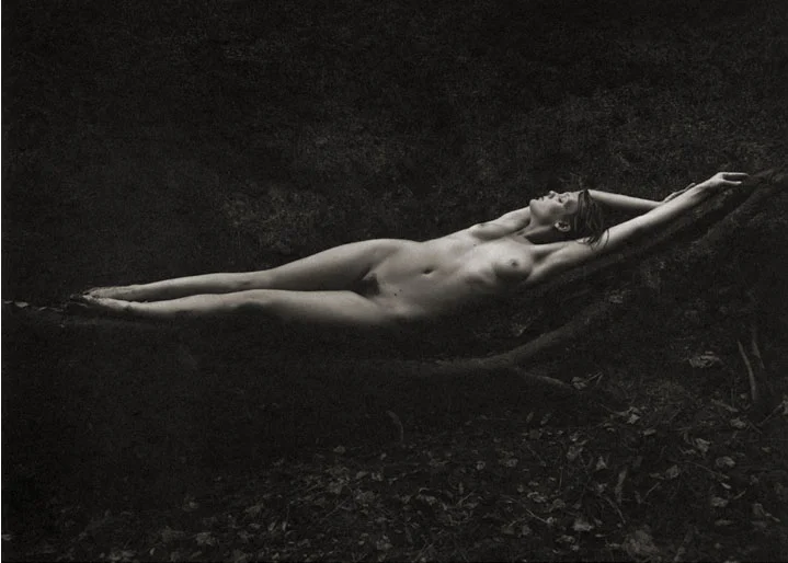 Kathryn #5 - Nature's Hammock , 1996 Platinum/Palladium photograph. 11 1/16 x 14 7/8 inches