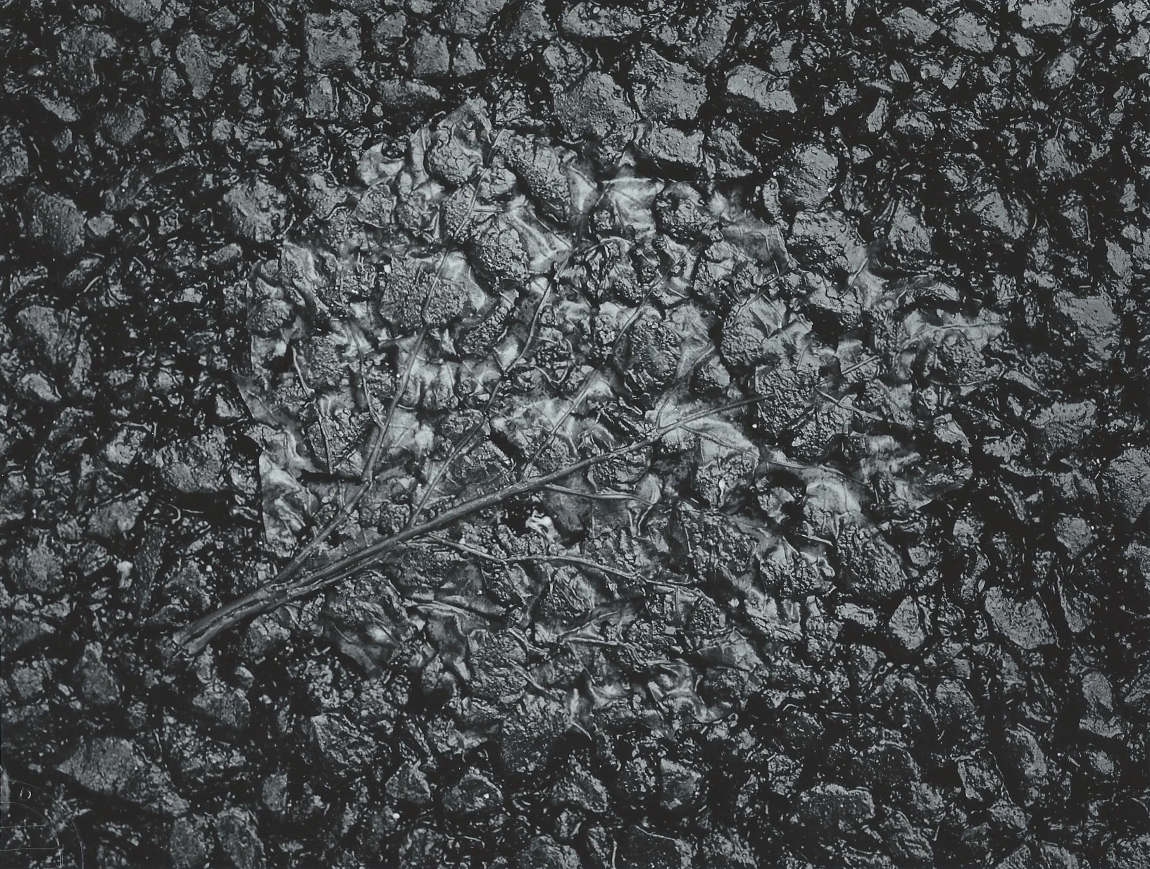 Untitled , 1980s Gelatin silver photograph. 7 7/8 x 11 1/16 inches