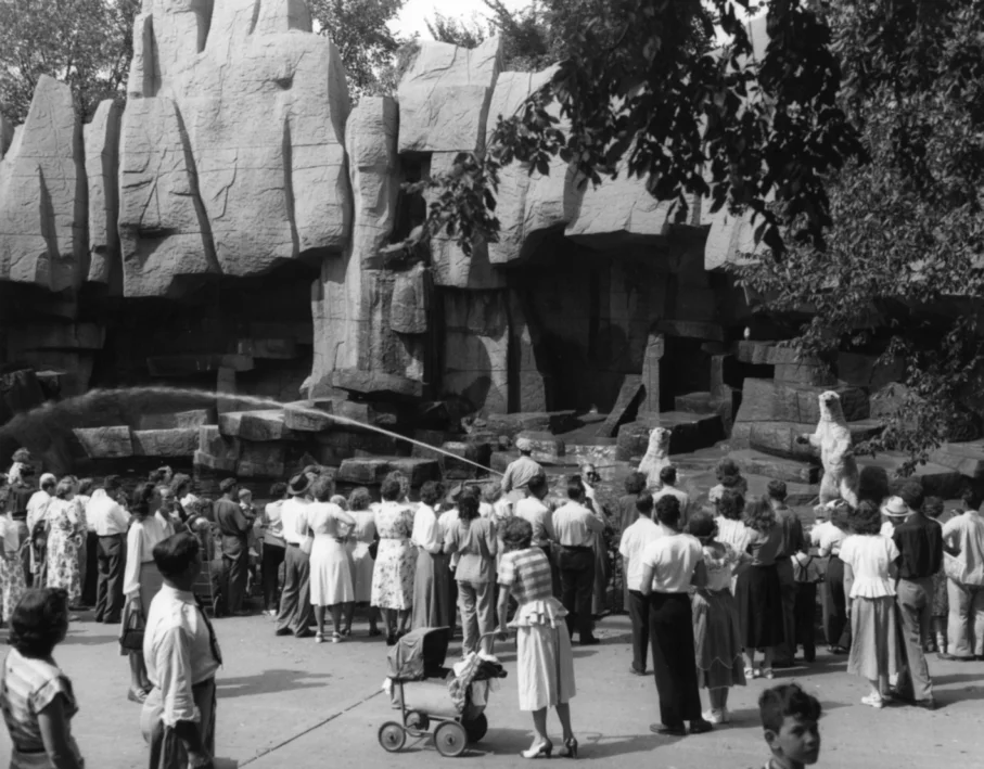 Brookfield Zoo , 1930s Gelatin silver photograph. 7 5/8 x 9 1/2 inches