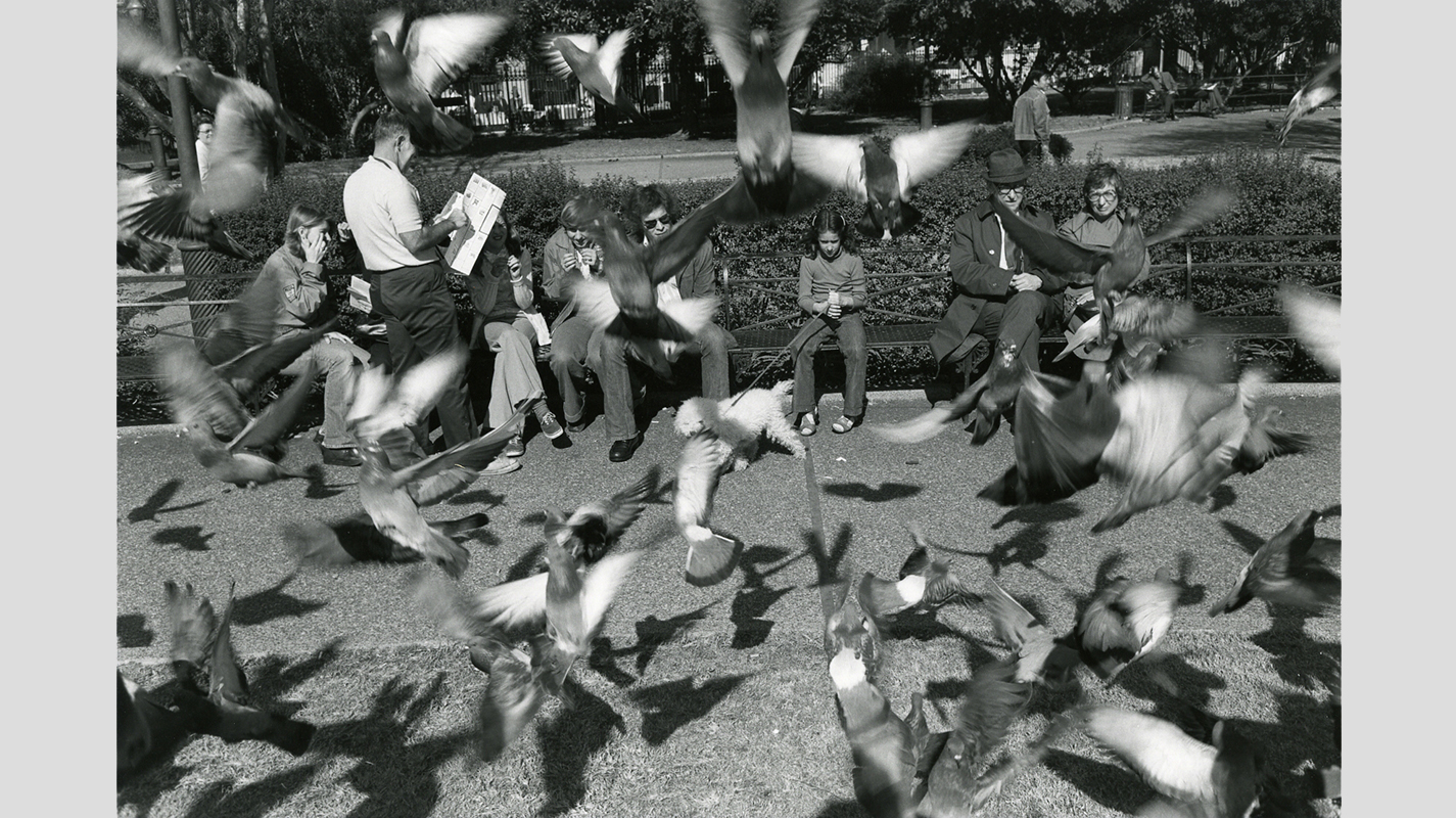 Lee Friedlander