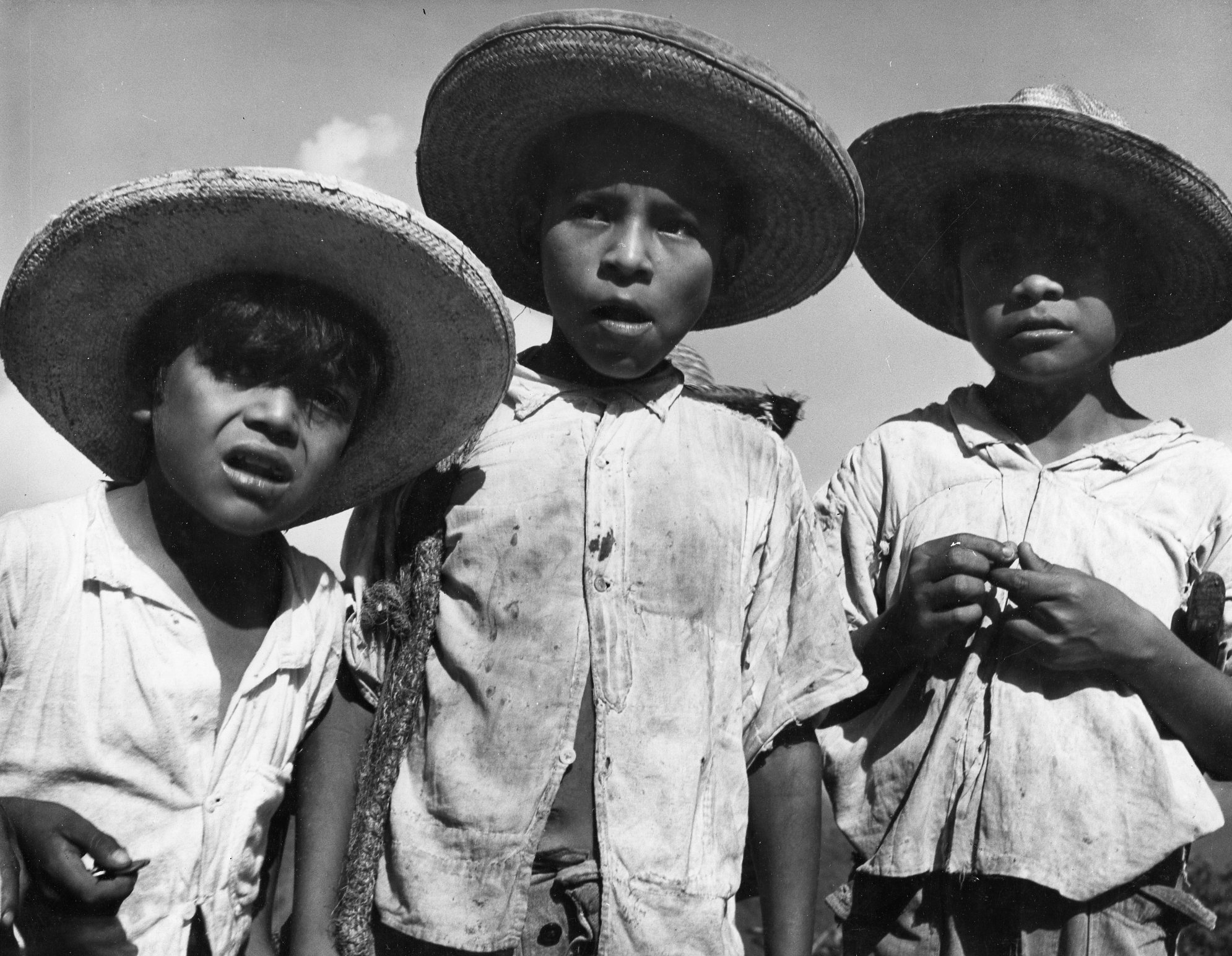 Boys of Tamazunchale , 1948 Gelatin silver photograph on mount. 10 x 13 3/8 inches