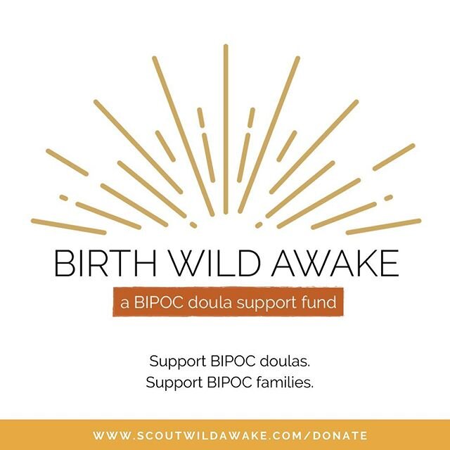 BWA FUNDRAISING UPDATE:
✨
.
Thank you to everyone who has bought t-shirts, hoodies, tanks and donated funds to support BIPOC birthworkers and families! In the last handful of weeks we have raised $8,745.85 for the Birth Wild Awake Doula Support Fund!