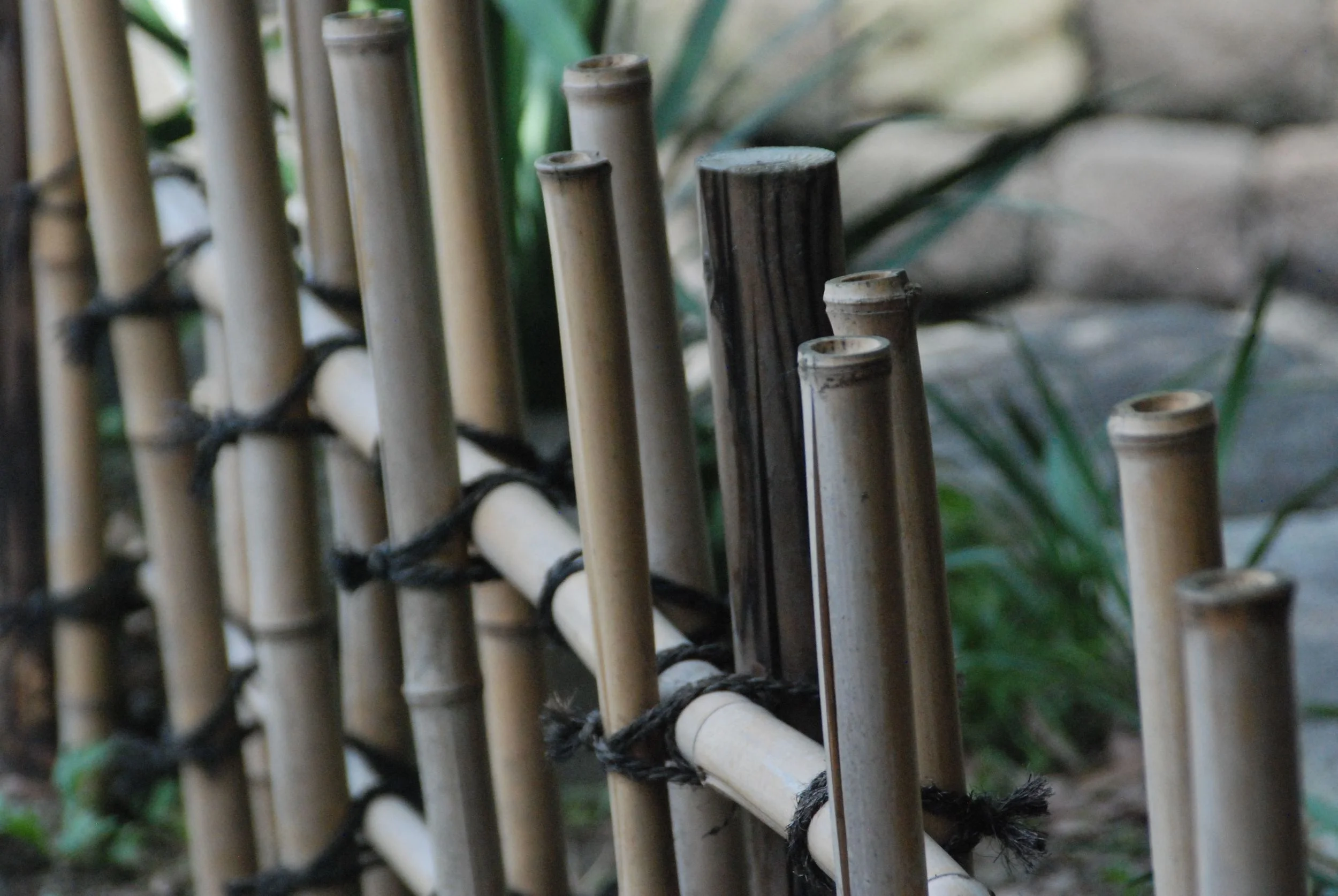JapaneseFence.jpg