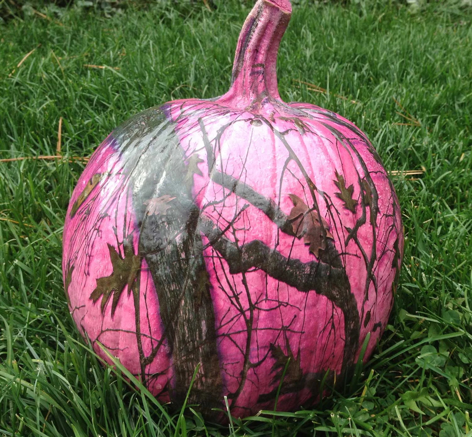 Pumpkin.jpg