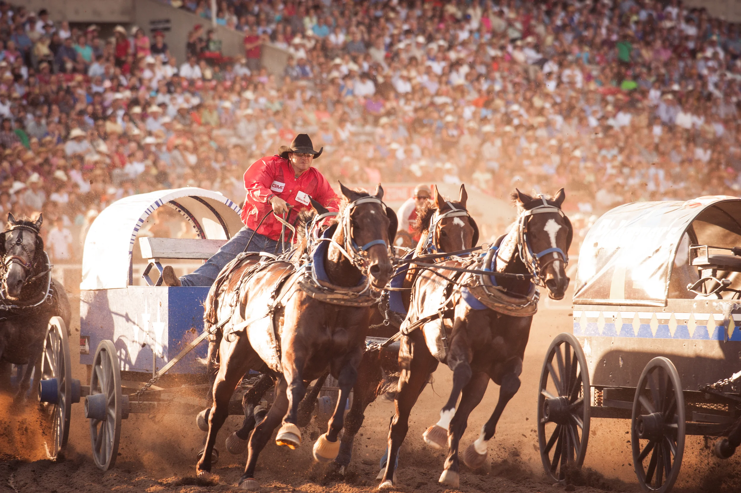 Shane Selects-113.JPG