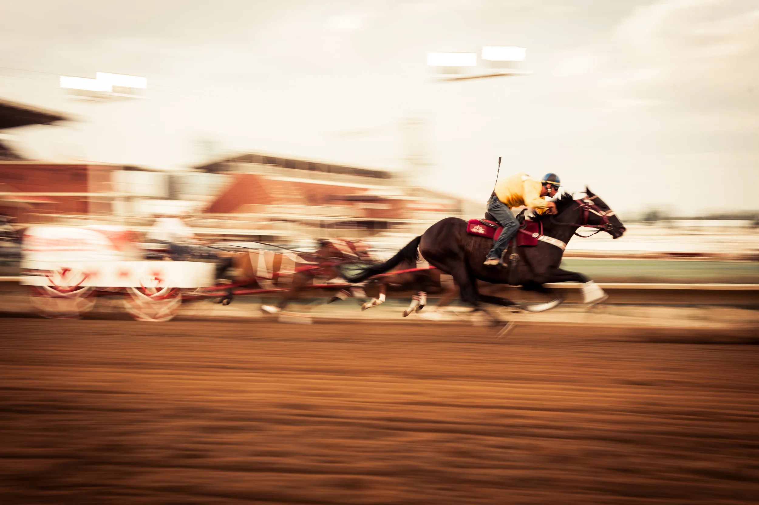 Shane Selects-151.JPG