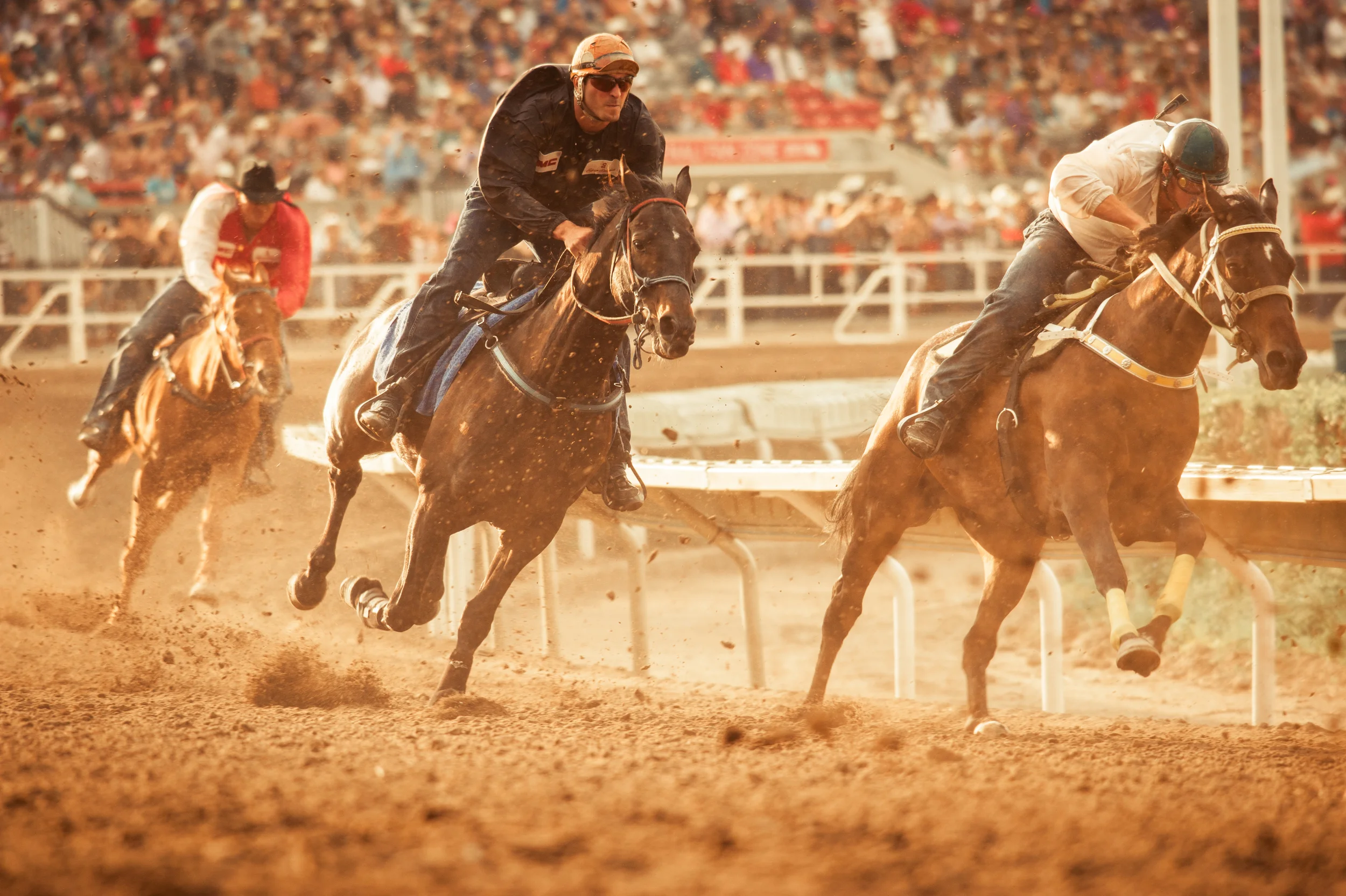 Shane Selects-149.JPG