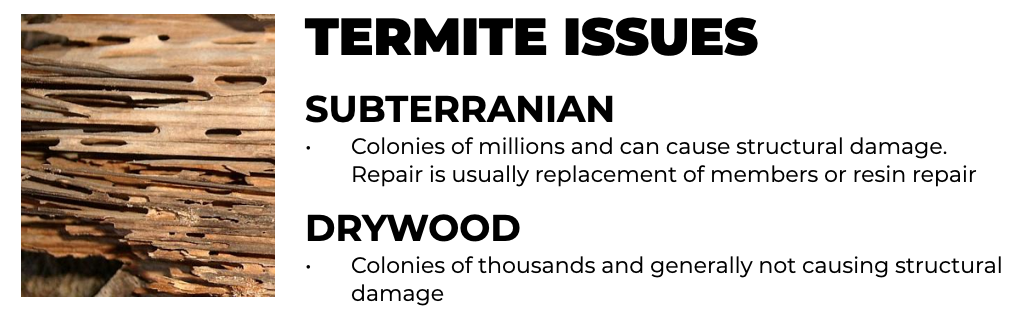 Screen Shot 2020-04-23 at 1.06.21 PM.png