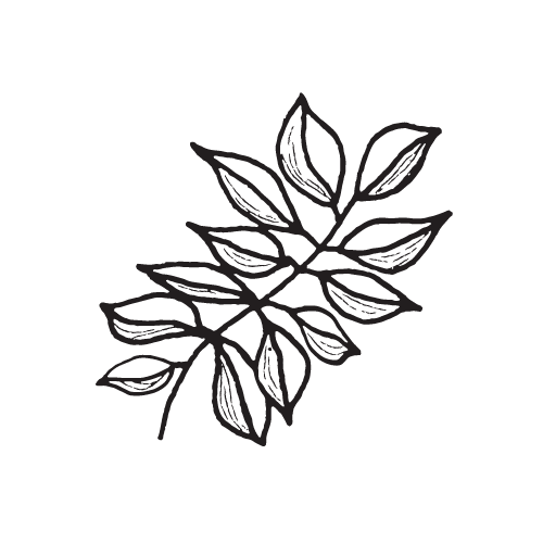 07_Greenery@2x.png