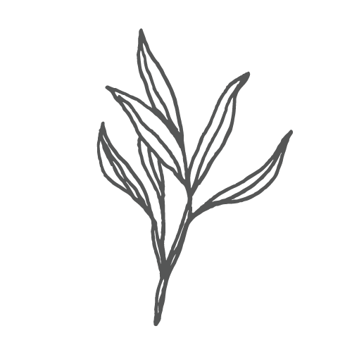 05_Leaves@2x.png
