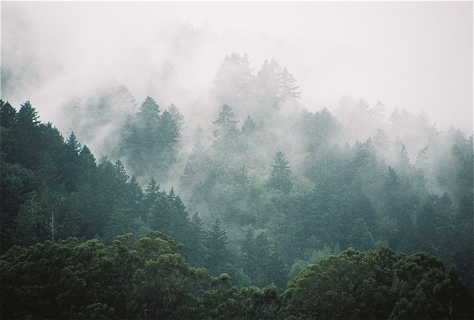 woodside screen saver.jpg