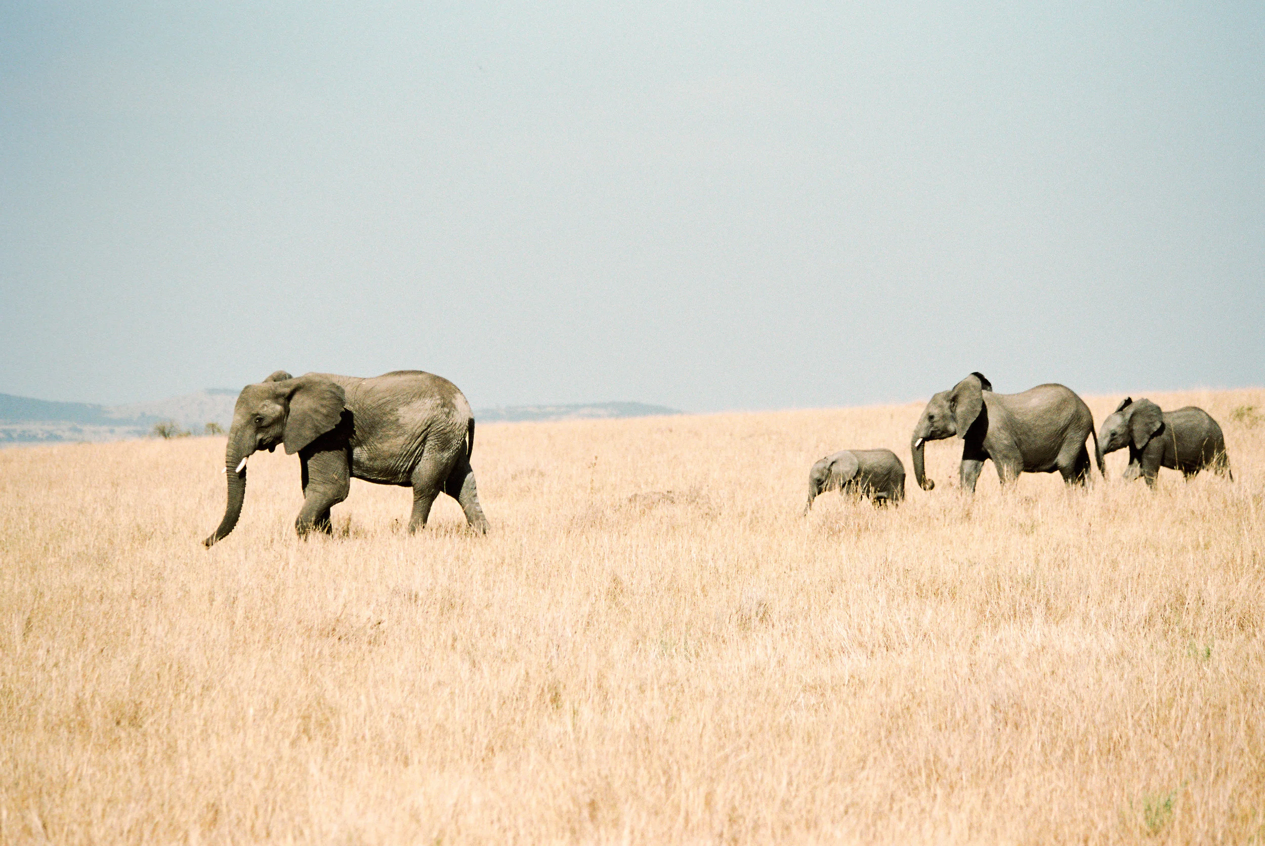 africa2013fuji-42.jpg