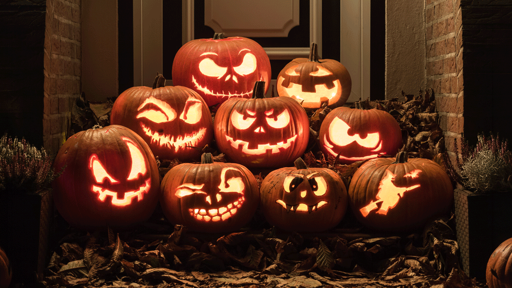 AdobeStock_299796530web.gif