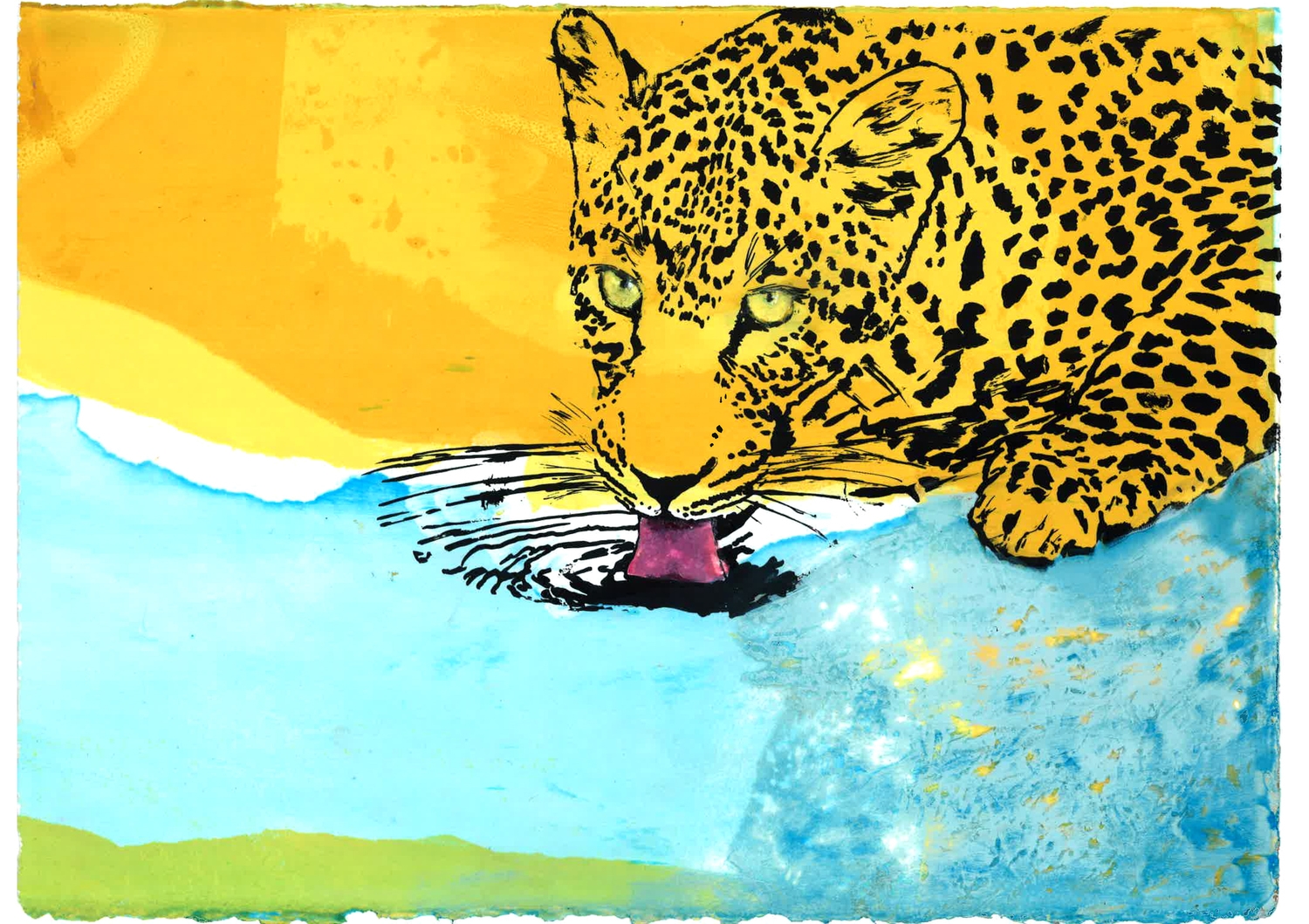 Leopard Drinking Water