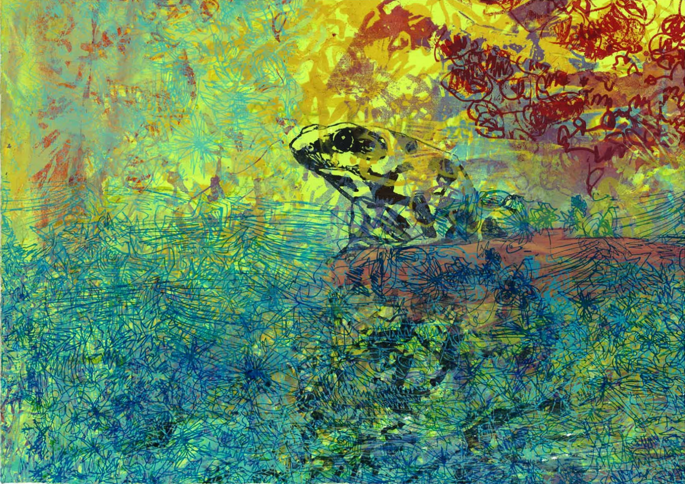 Costa Rican Frog (Detail) 