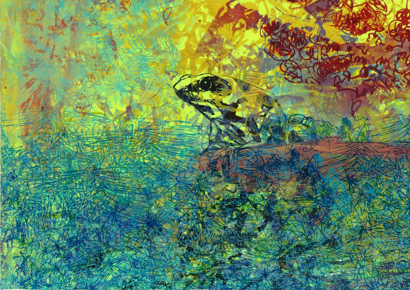 Costa Rican Frog (Detail)