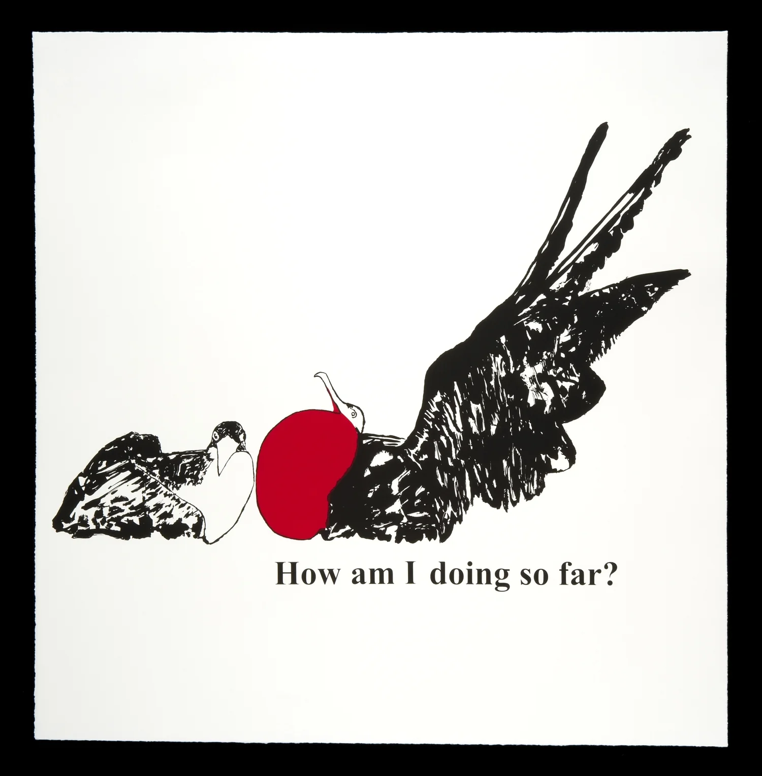 How am I doing so far? (Frigatebirds)