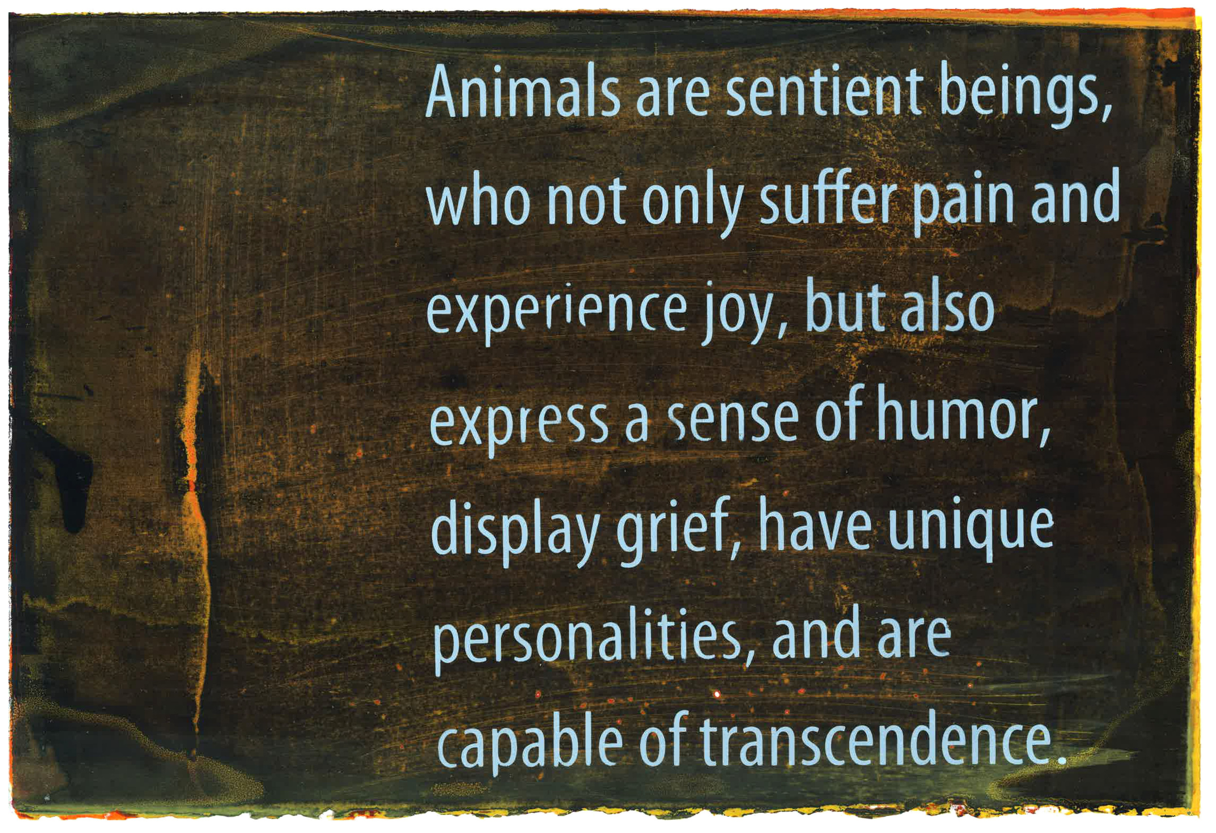 Animals are sentient beings 