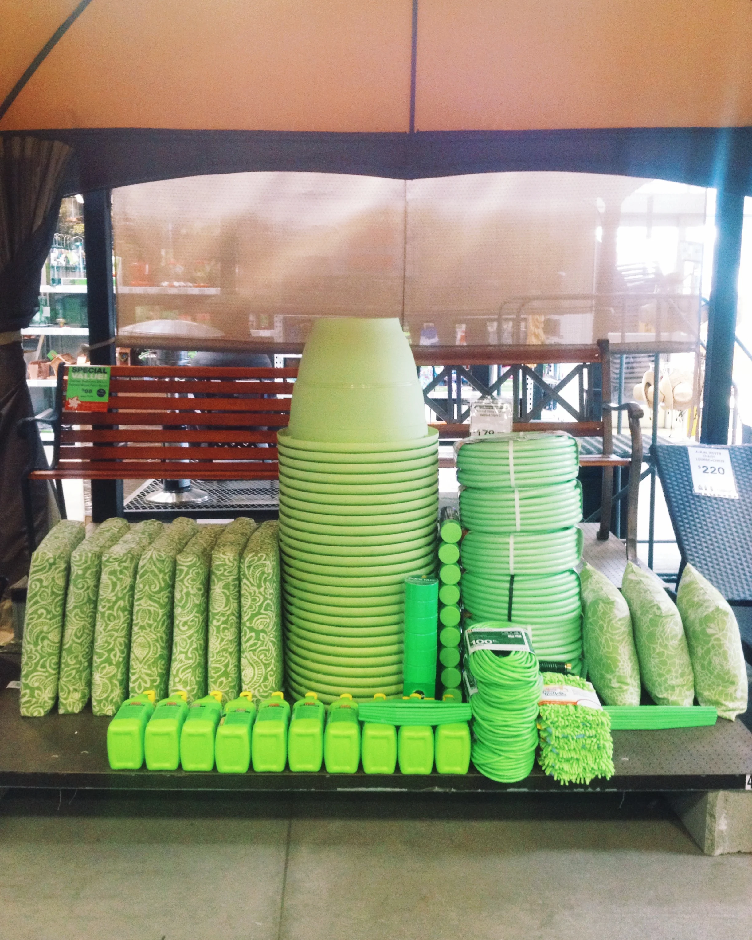 019