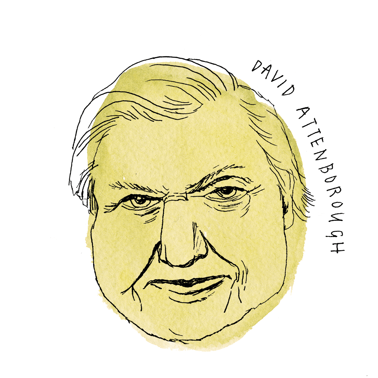 daves_colored_att.png
