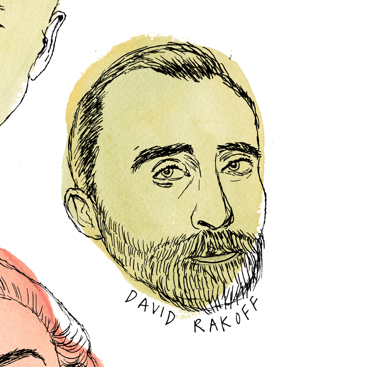 daves_colored_rakoff.png