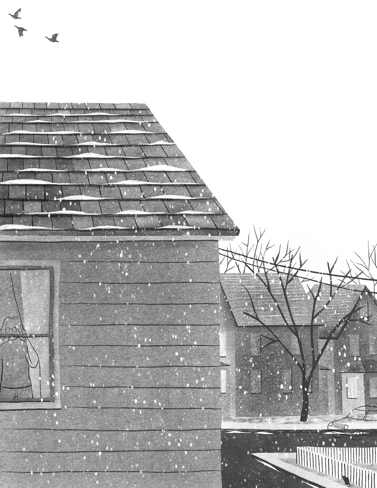 sherman vignette_sm.jpg