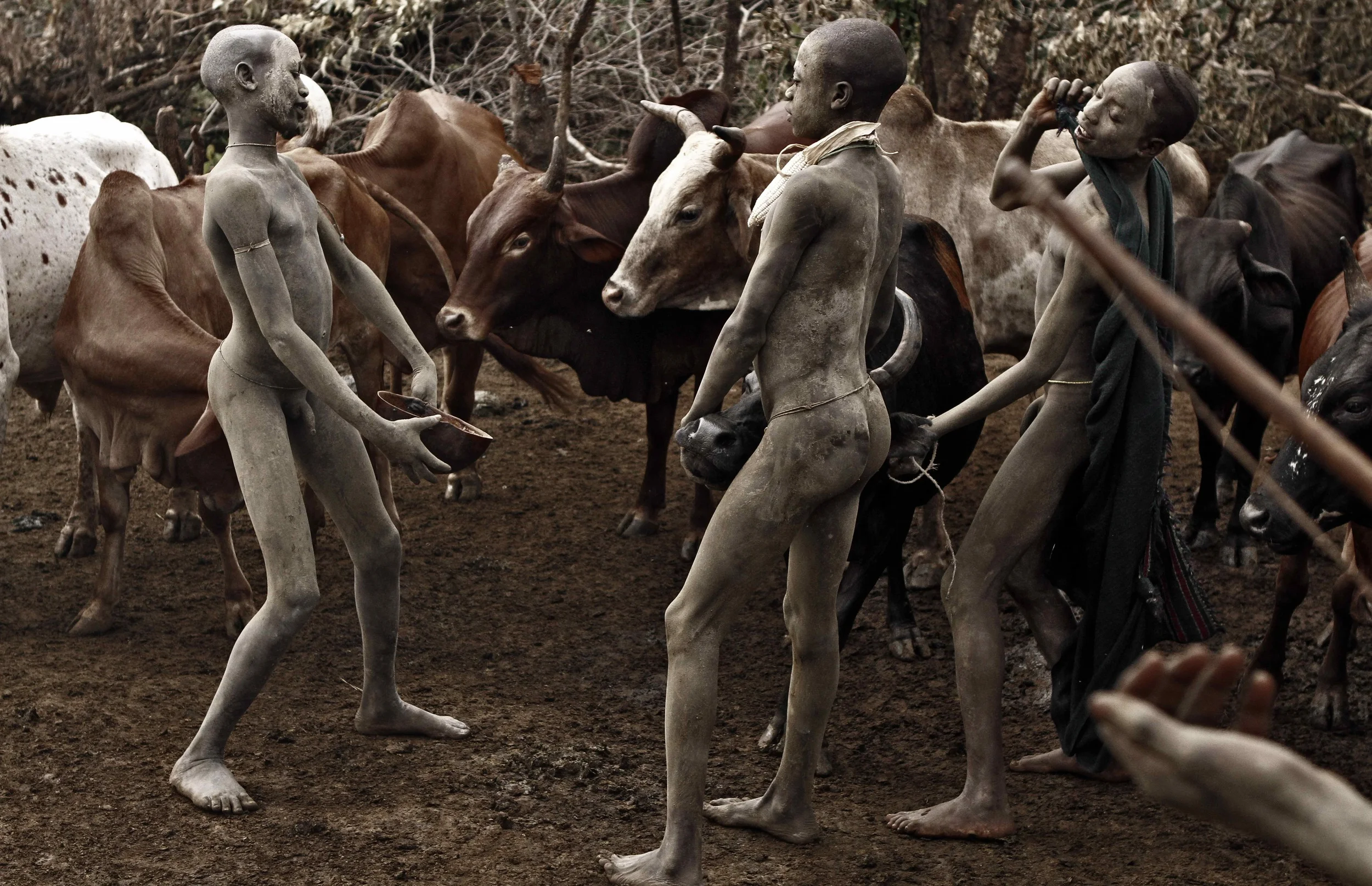 Suri Cowboys
