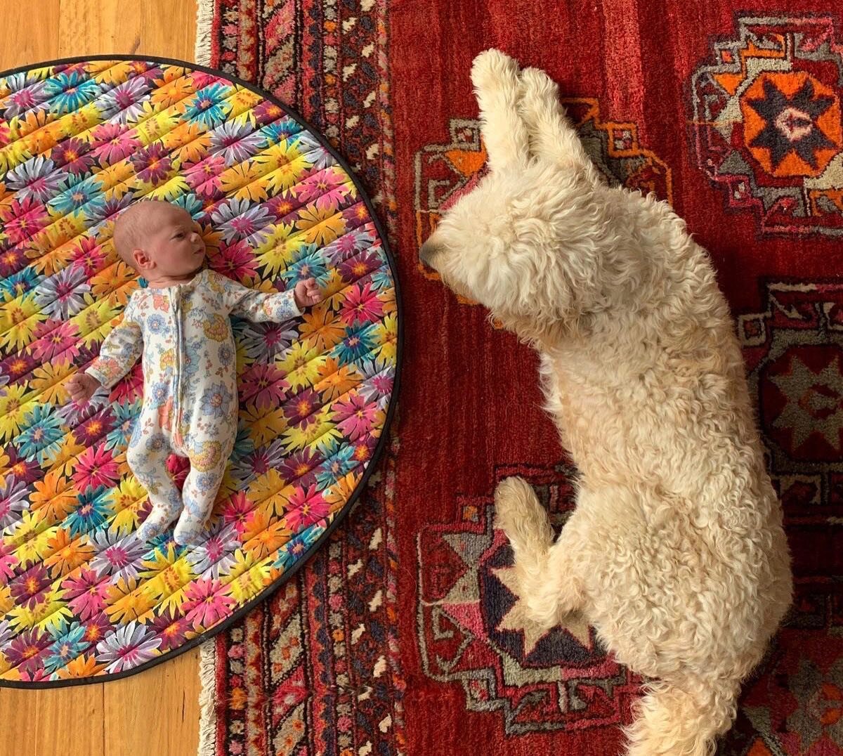 Oh my heart! 
Could baby Quinn and Dudley Dog be any cuter.