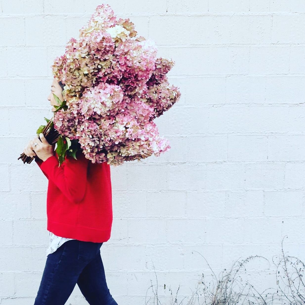 A bunch of homestead hydrangeas, like this one from @theivyleague_au, will absolutely do me for Mother&rsquo;s Day @bennyontheroad. Easy. K thanks byeeeee.