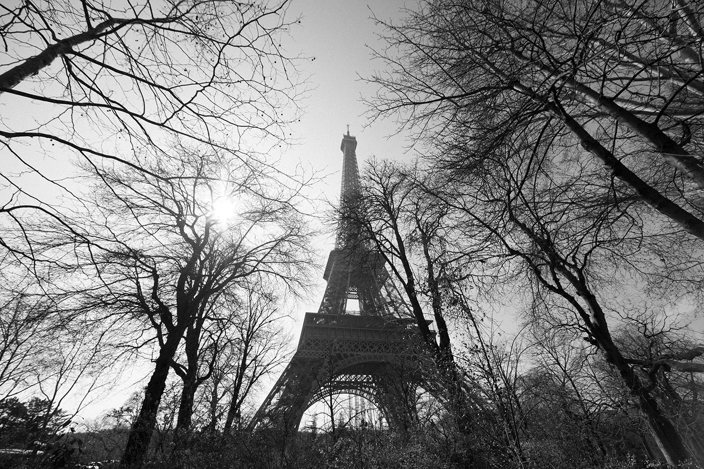 paris.jpg
