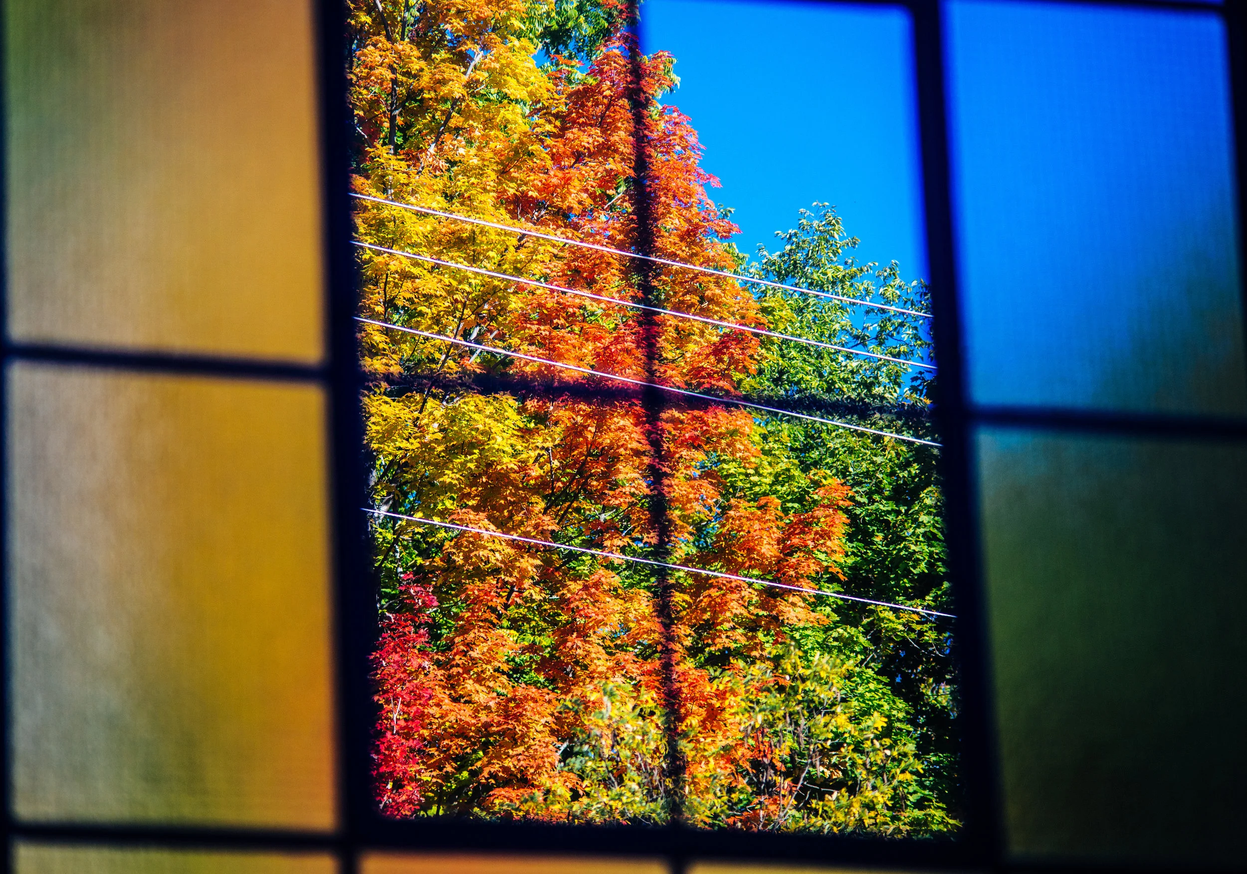 window_autumn.jpg