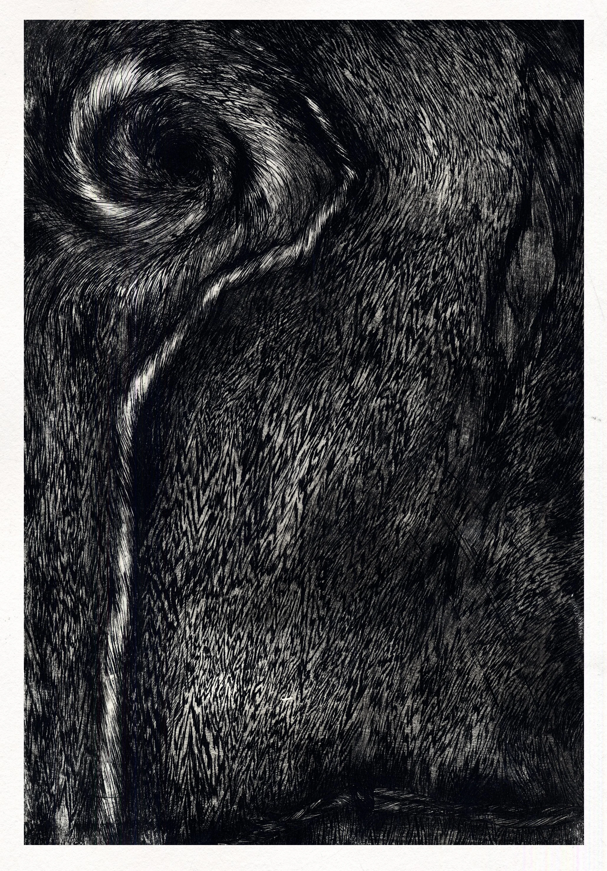 Upward Sprial
