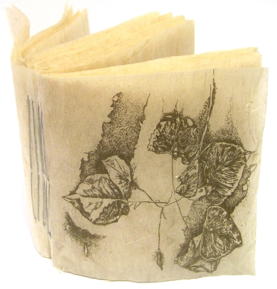 Pressed Leaves