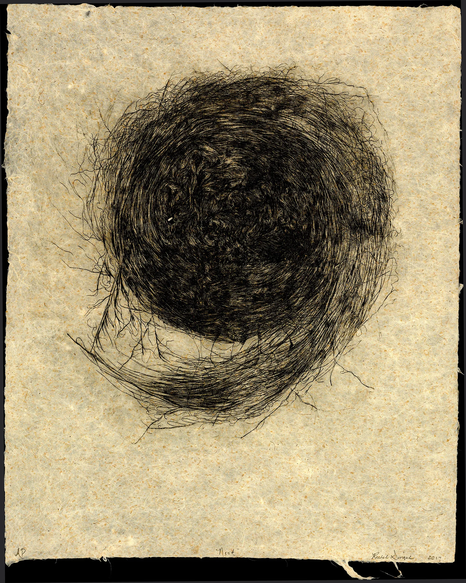 Nest