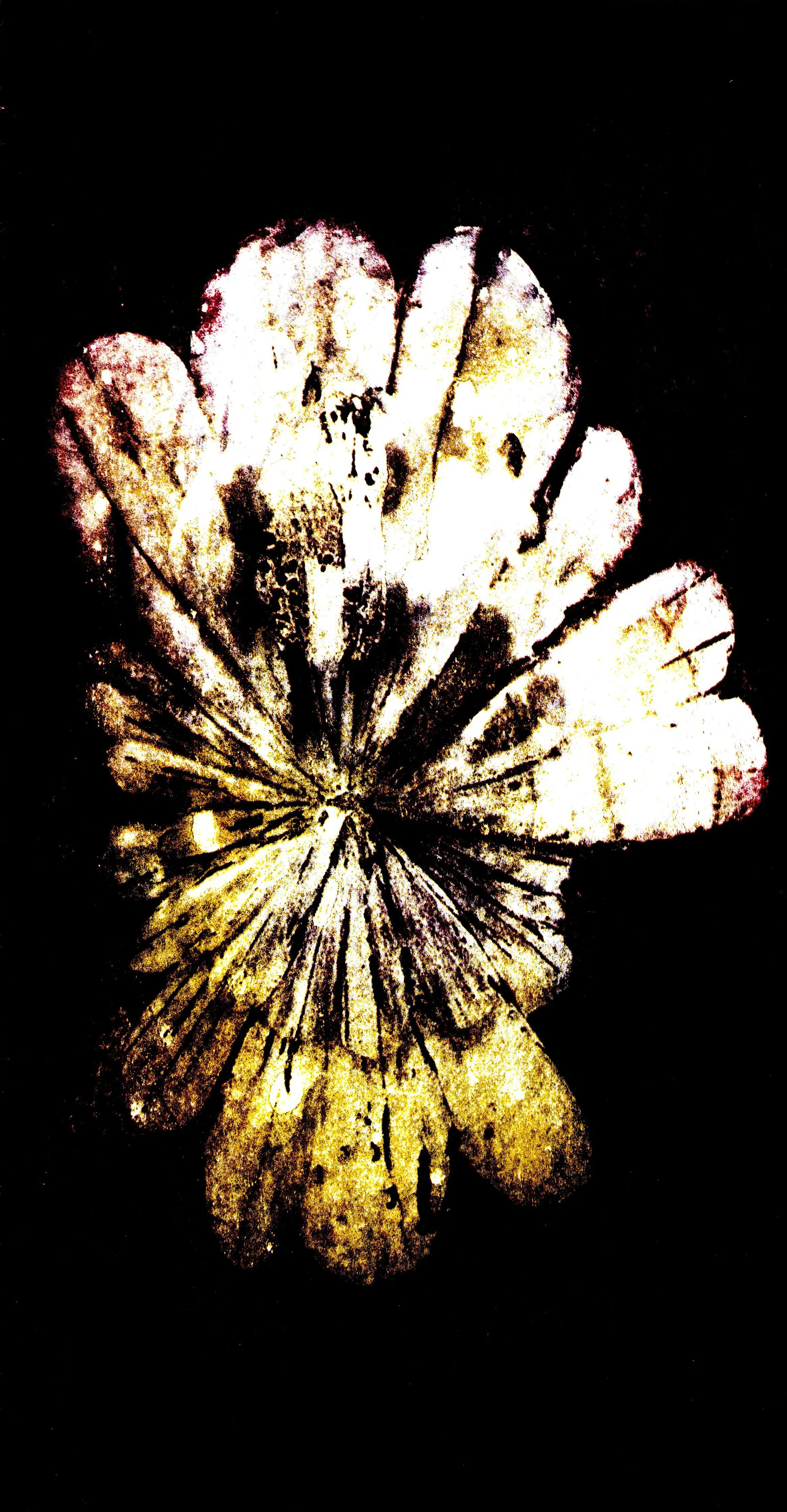 scan_2017-09-25_14-33-57.jpg