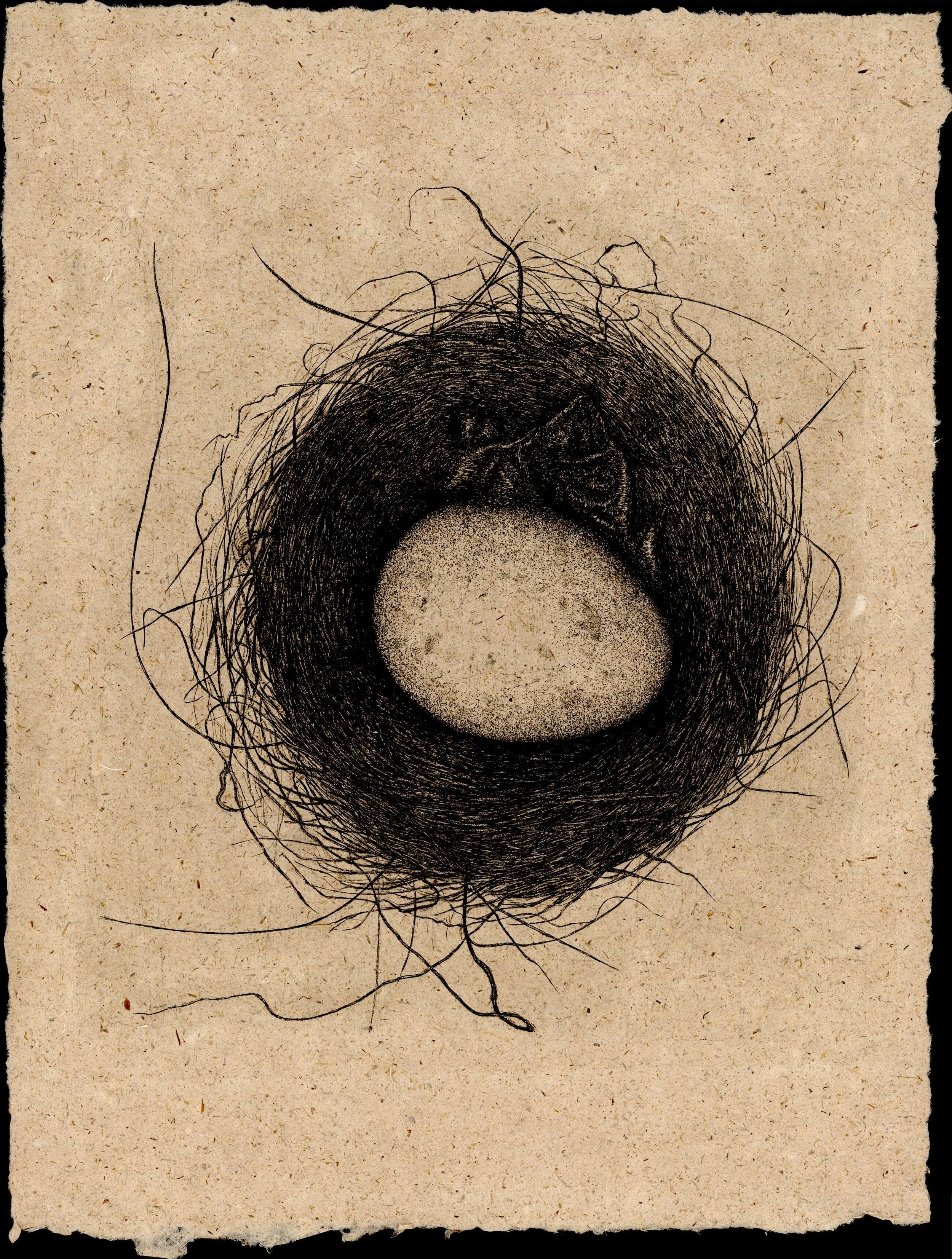 Small Nest (Swan's Egg)