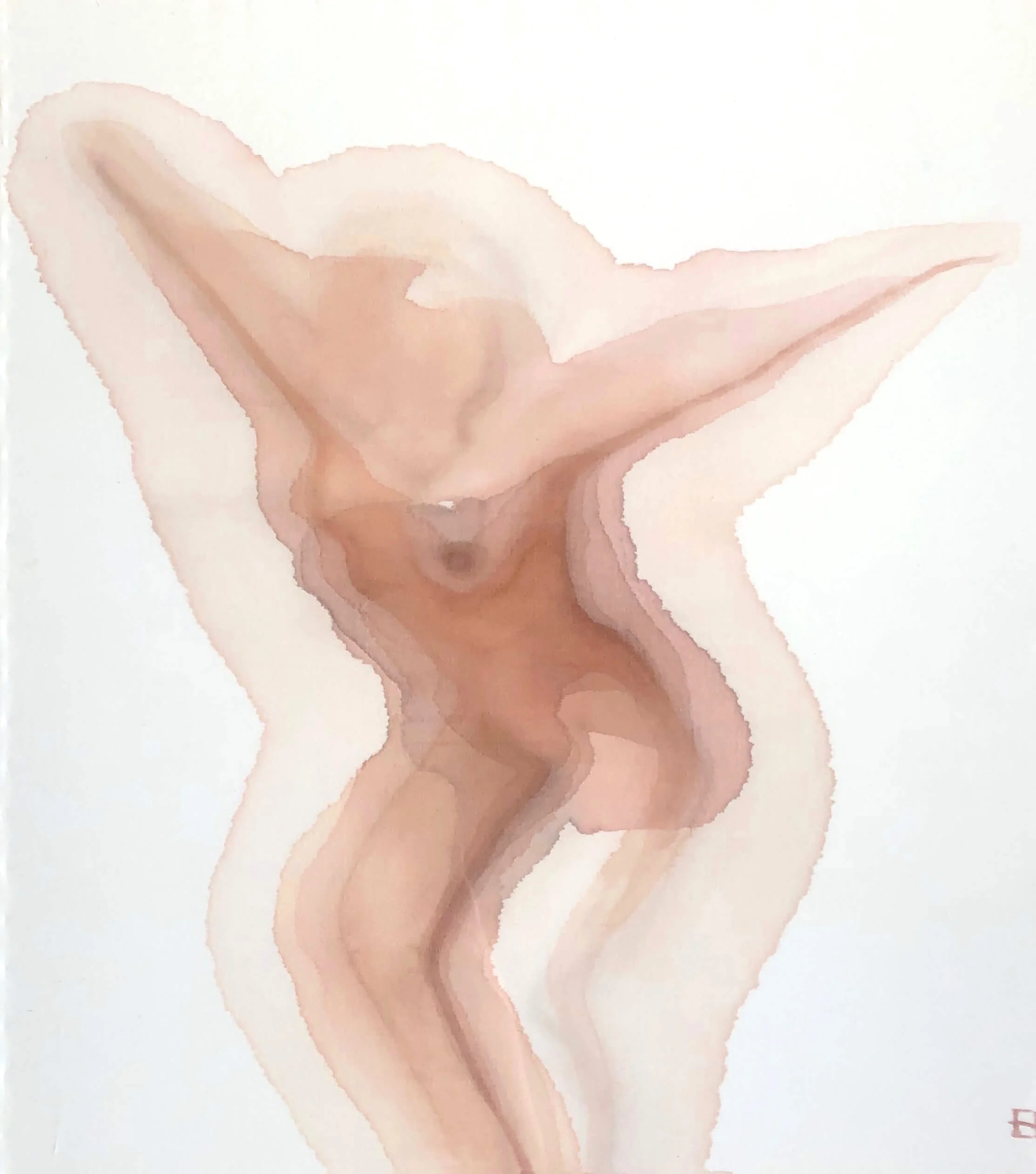 Wings Spread Watercolour on muslin 77 x 70cm SOLD emponsonby@gmail.com
